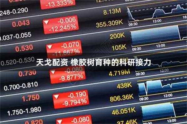 天戈配资 橡胶树育种的科研接力